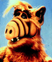 gordonshumway