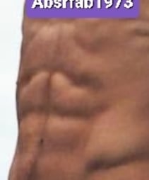 Absrfab1973
