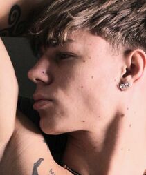 Stelmo4u