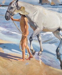 Edu65