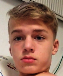 sander4