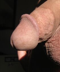 GBTuser0990