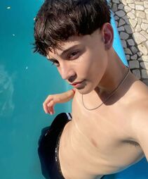 picudo.wil