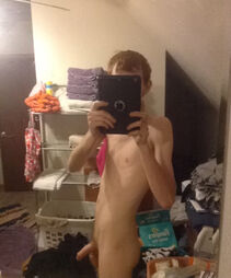 gingrboy