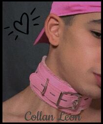 CollanLeonSchaper