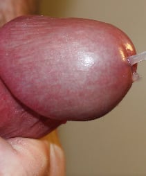 bobb10010x
