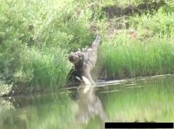 Summer Boys At The Lake Gay Porn