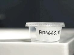 Sperm donation