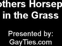 Brothers Horseplay in the Grass