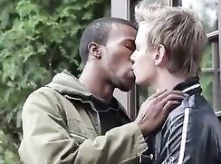 Black In White Gay Porn Videos Love