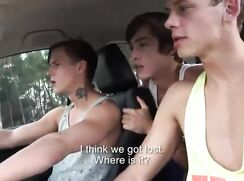 Brothers On The Farm Twinks Gay Porn