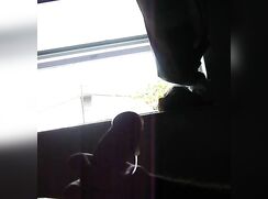 exhibitionist and alley spy