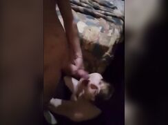 AA Vid - Gay  porn cute boy sucks daddy's big cock amateur  tube