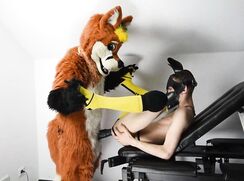 puppy gets fucked by fursuit with dildo boys porn