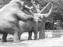 Like On The Discovery Channel Gay Porn Videos