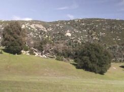 Boys in a  wild adventure