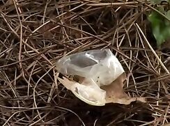 La Guerre Des Sens FRENCH.