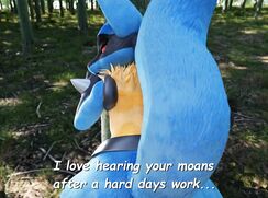 Two Lucarios Fucking