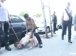 On a quest for cock, out