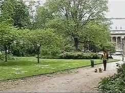 While walking their dogs