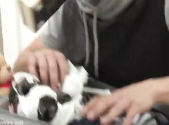 Horny jocks sucking and fucking gay twinks porn