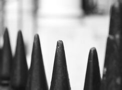 Publius - International Playboys