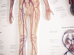 # They're having fun - 013