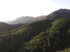 They love being outdoors - 003