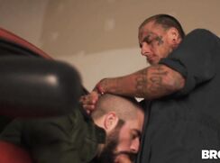 Bo Sinn Poppers Trainer