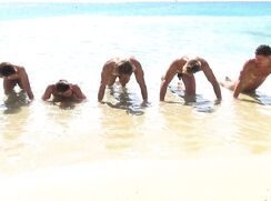 Our crisp, cock hungry,