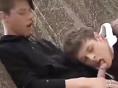 Dnz 3 lads in the woods