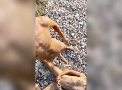 the pretty boy like a beast,