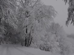 Marco and friend on cam cam boys porn