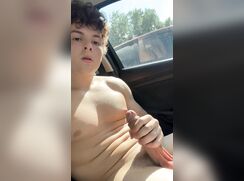 Public jerking in car