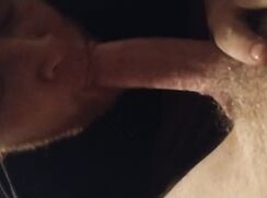 Bear Swallows My Load