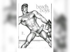 ♥ Beach Boys 2 ♥