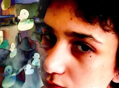 The Bailey Small Big D Experience