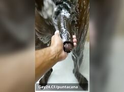Black guy with a HUGE dick jerking off in the shower