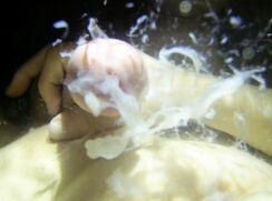 Twink Boy is Cumming Underwater Porn