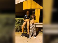 Thai Public Exhibition Boys Twink Porn