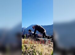 Brokeback Mountain Fuck