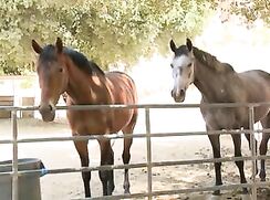 Hunks & Jocks Cowboys Gay Porn Videos