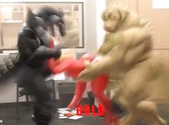 Poppers Trainer - Furry Beast