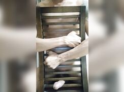 [ABX][1][505] - Horny fucking chair