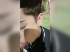 Str8 Lad sucked off in the park