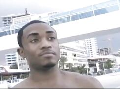 Dark Meat White Meat Sex Gay Porn Videos