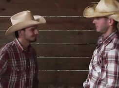 Stable Lads Gay Porn Videos