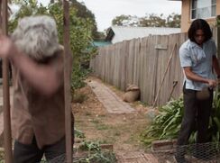 AA Vid M - Teenage Kicks (2016)