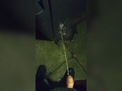 Piss outside by the Bins