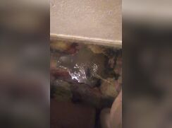 Desperate Carpet Piss